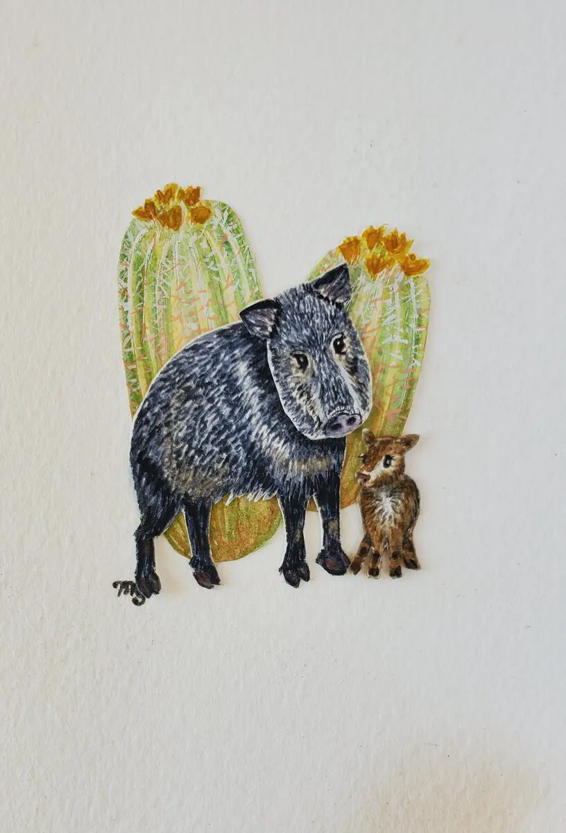 "Javelina Homestead" from Tiny Treasures Collection
