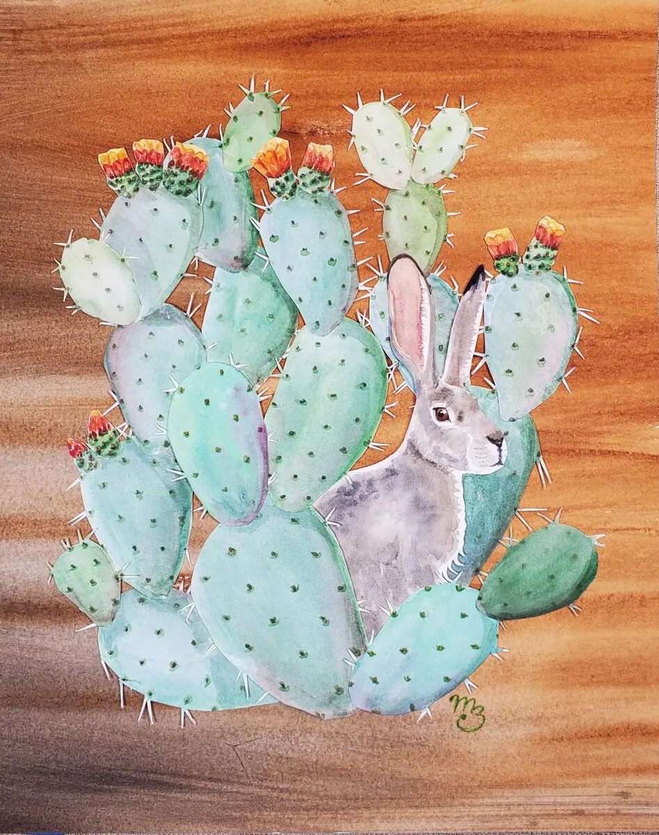 Jackrabbit and the Prickly Pear