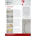FREE DOWNLOAD - Inquiries - Issue 5 - Learning from a broken stick