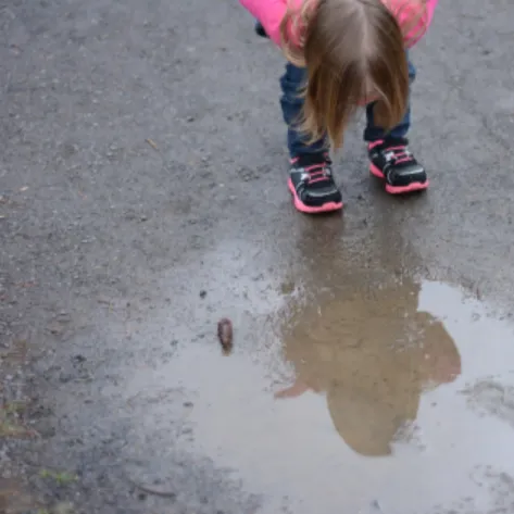 Learning with Nature - Puddles