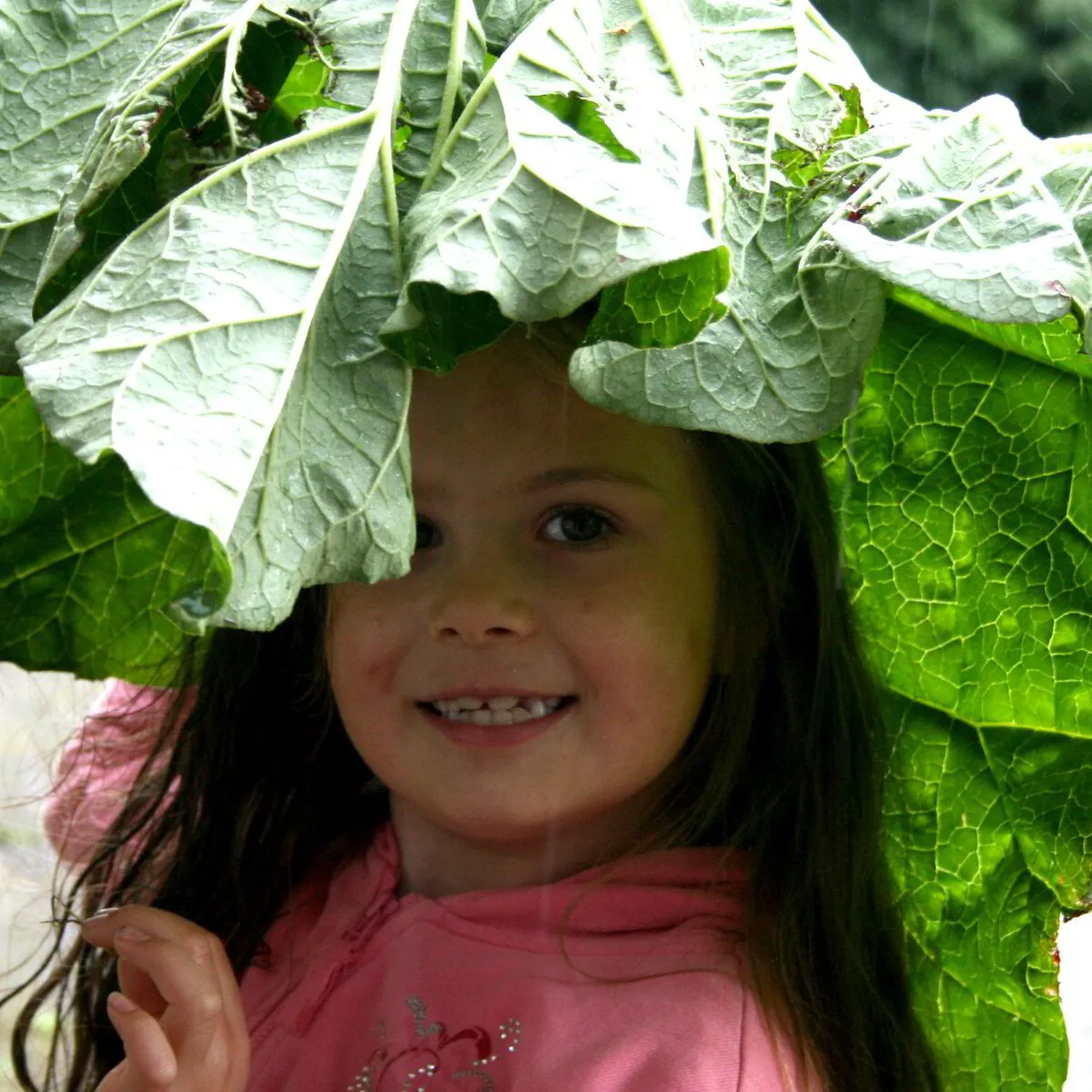 Introduction to Forest Schools Webinar