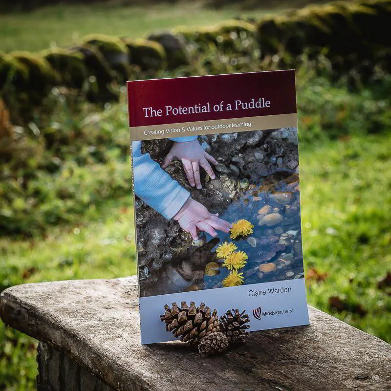 The Potential of a Puddle (PAPERBACK)