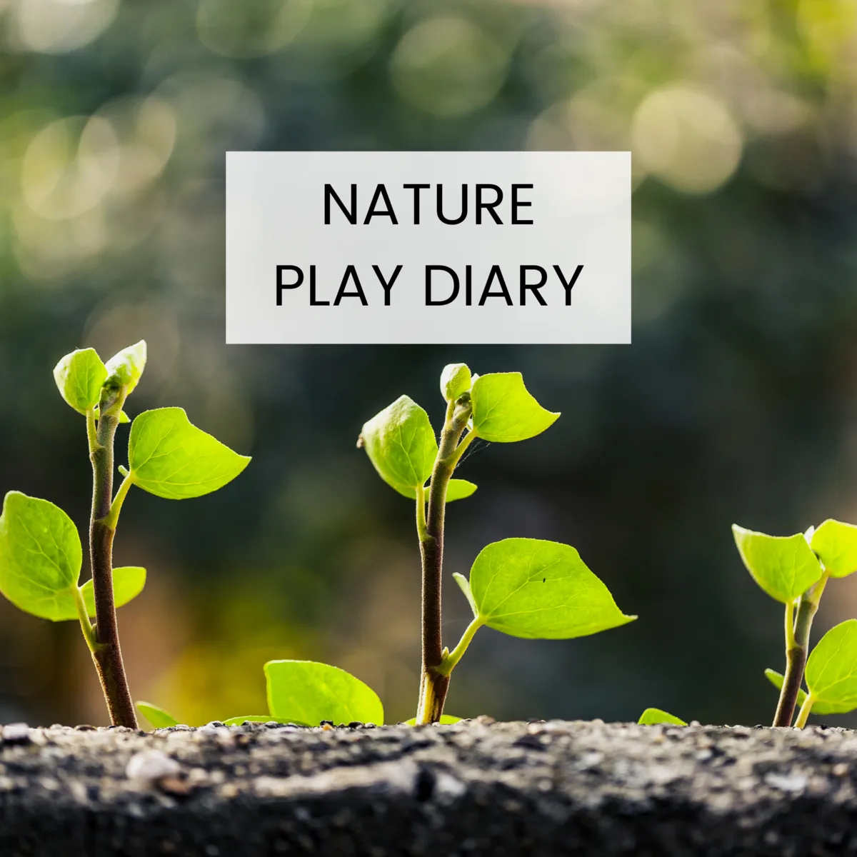 FREE DOWNLOAD - Nature Play Diary
