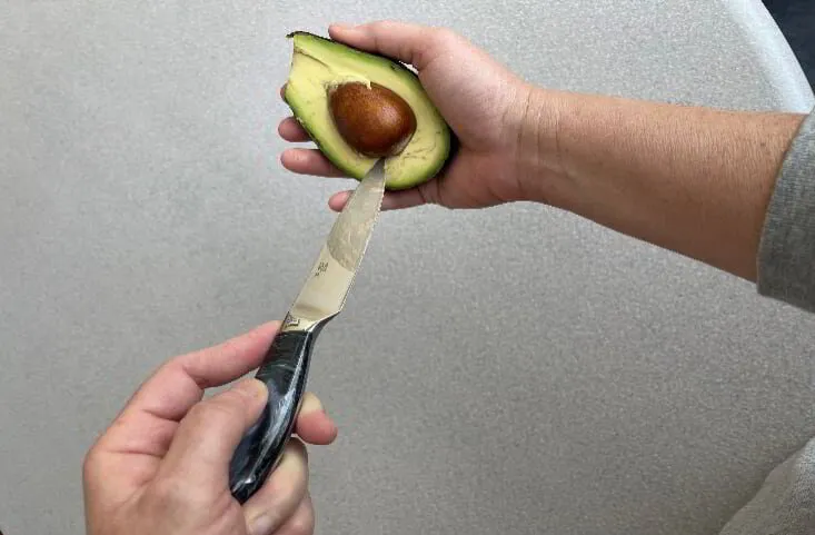 How To Not Go To the Hospital: A Guide To Cutting Avocados