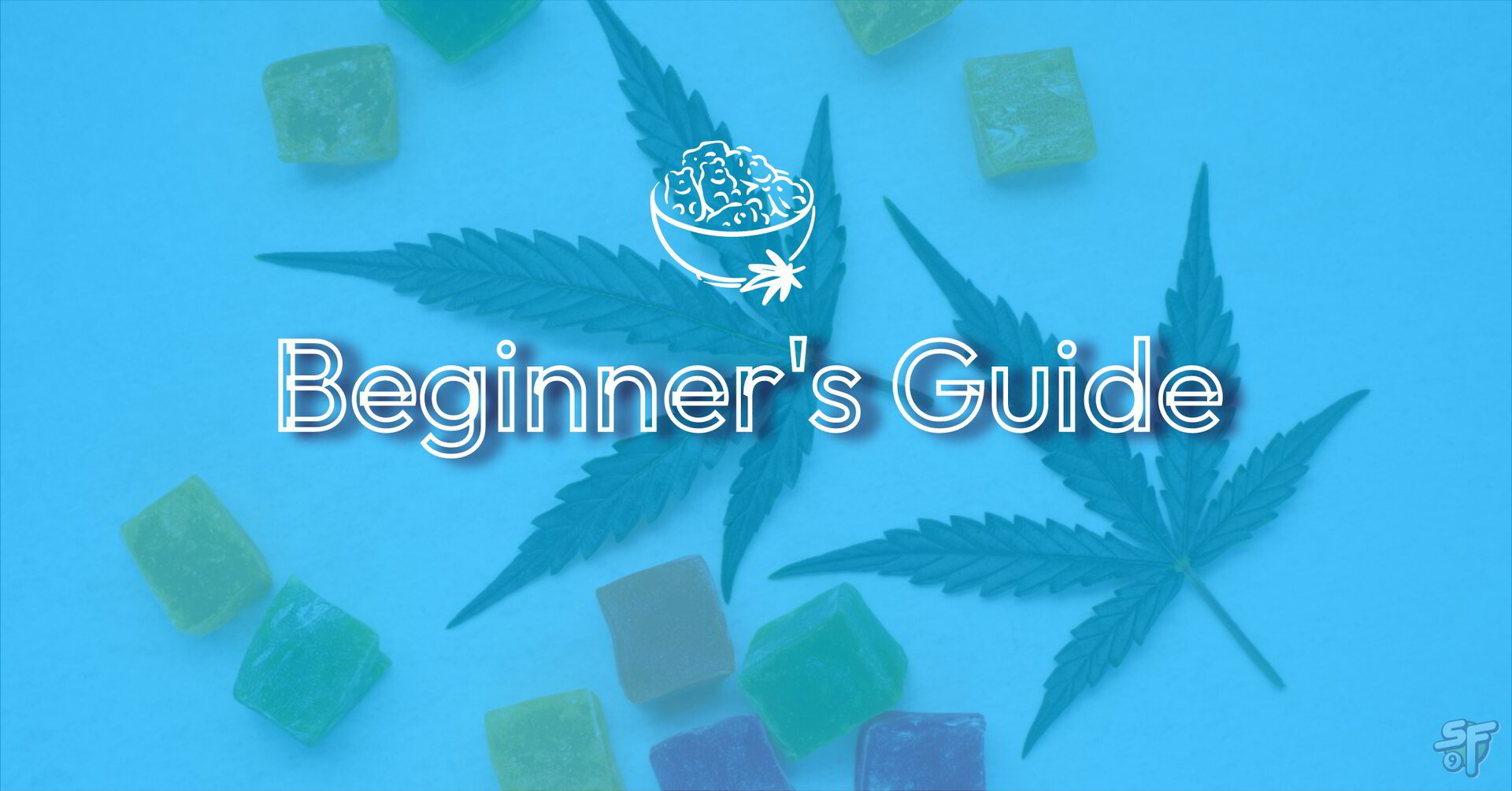 Beginner's Guide To Delta-9 THC Gummies