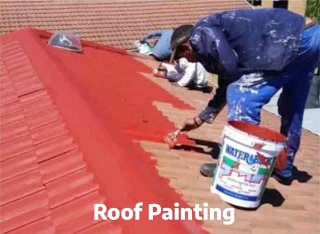 Roof Painting - You get excellent craftsmanship, quality services and innovative thinking. muzi@iwabaprojects.co.za