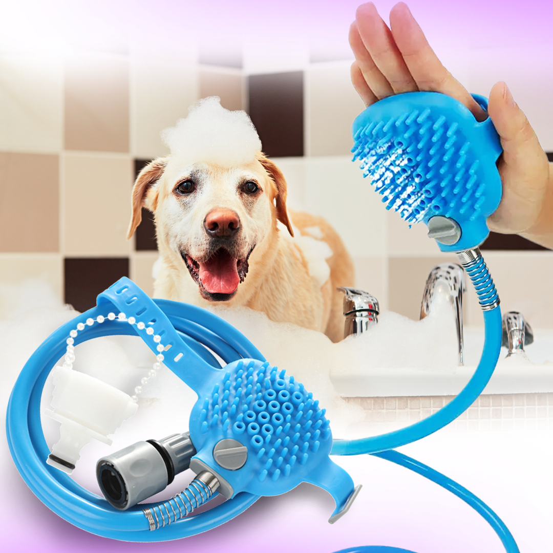 dog water brush