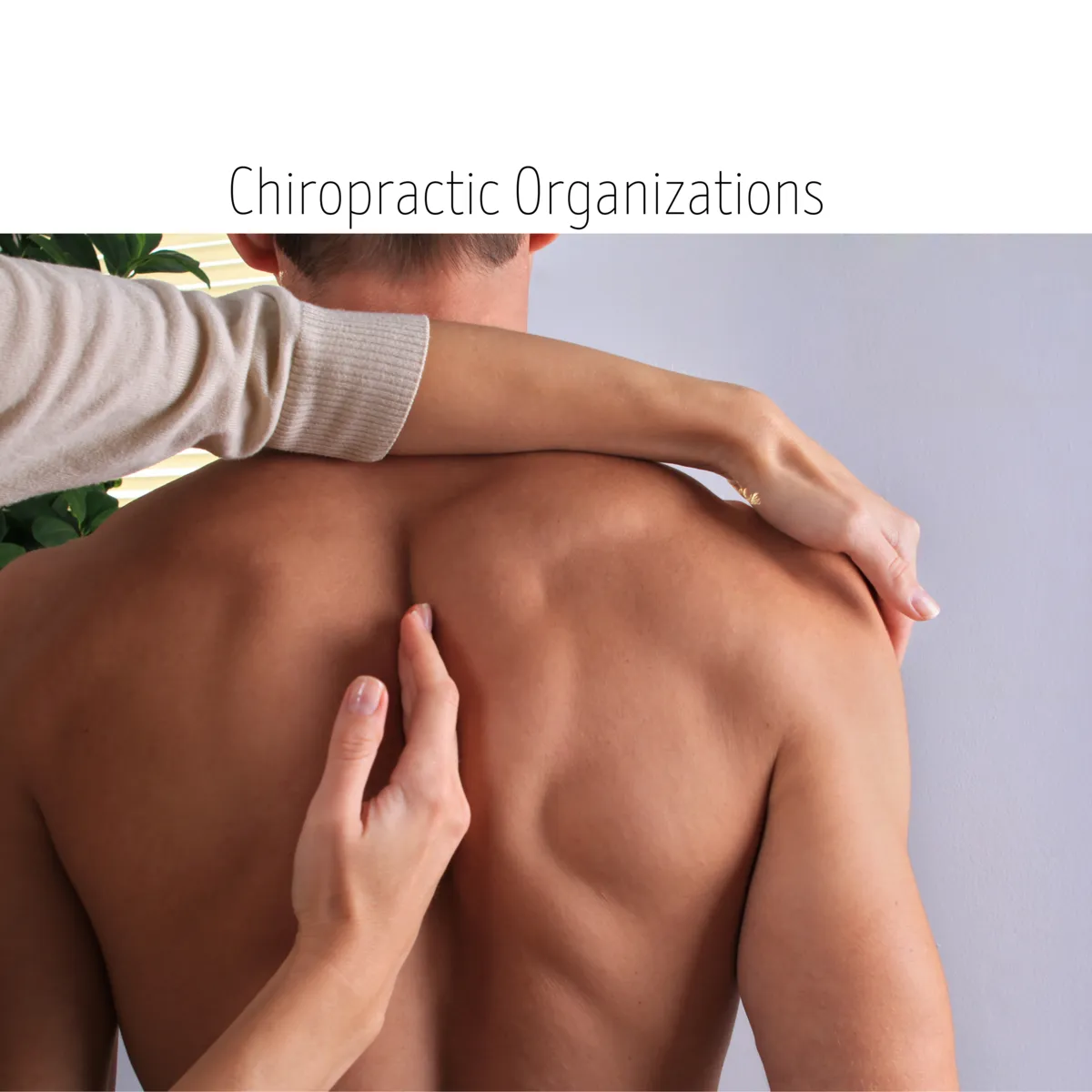 Functional Medicine &amp; Chiropractic Care