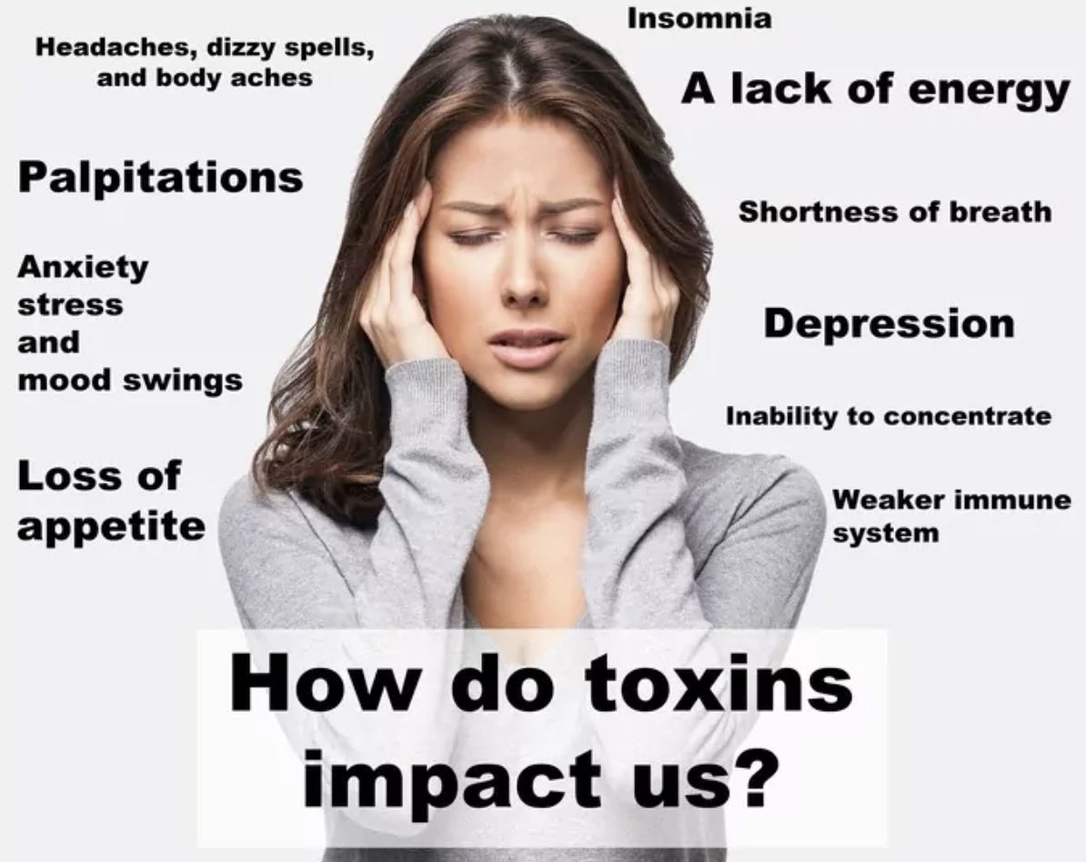 Non-Toxic vs Toxin-Free: What's the Difference?