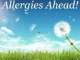 Knowing Your Seasonal Allergies