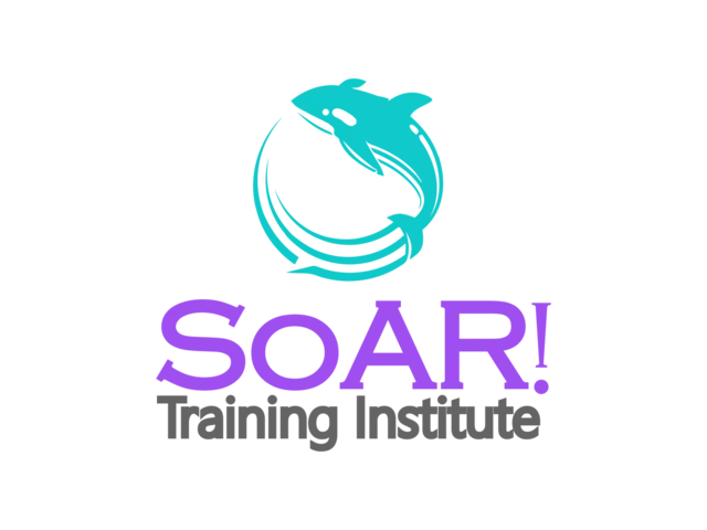SoAR! Training Institute (STI) a division of Priscilla Kucer Consulting Solutions LLC