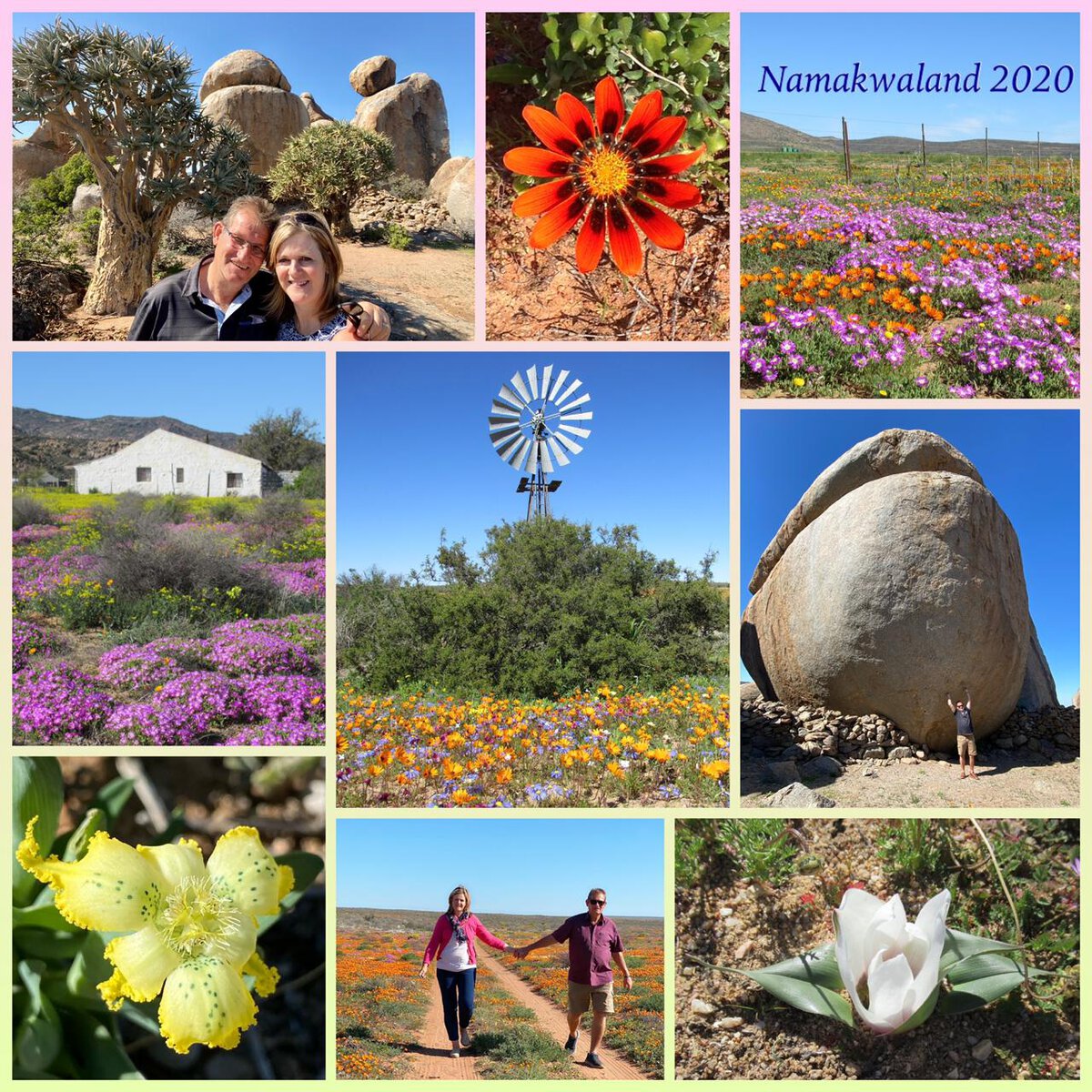 The Beauty of Namaqualand