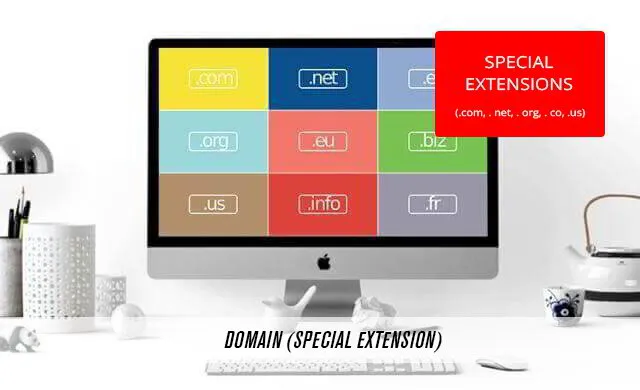 Domain (special extensions)