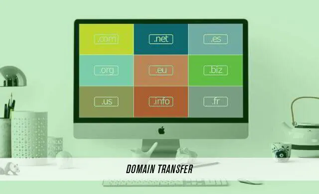 Domain - Transfer