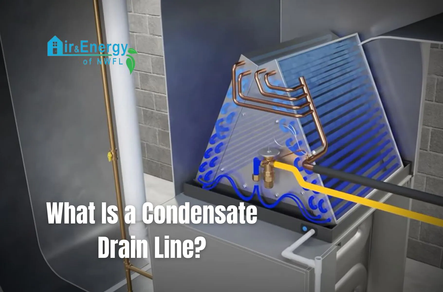 What is a Condensate Drain Line? | Expert Tips for Air and Energy of NWFL