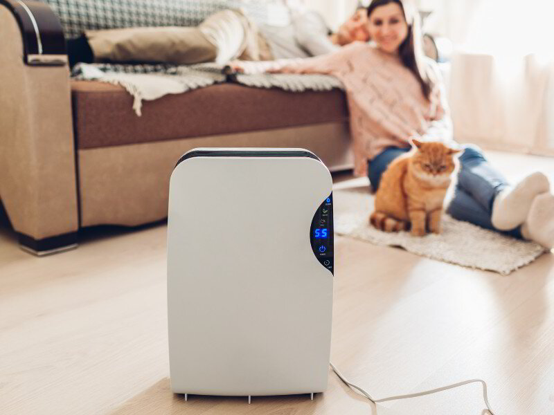How To Cool a Room With No Windows Air Energy of NWFL