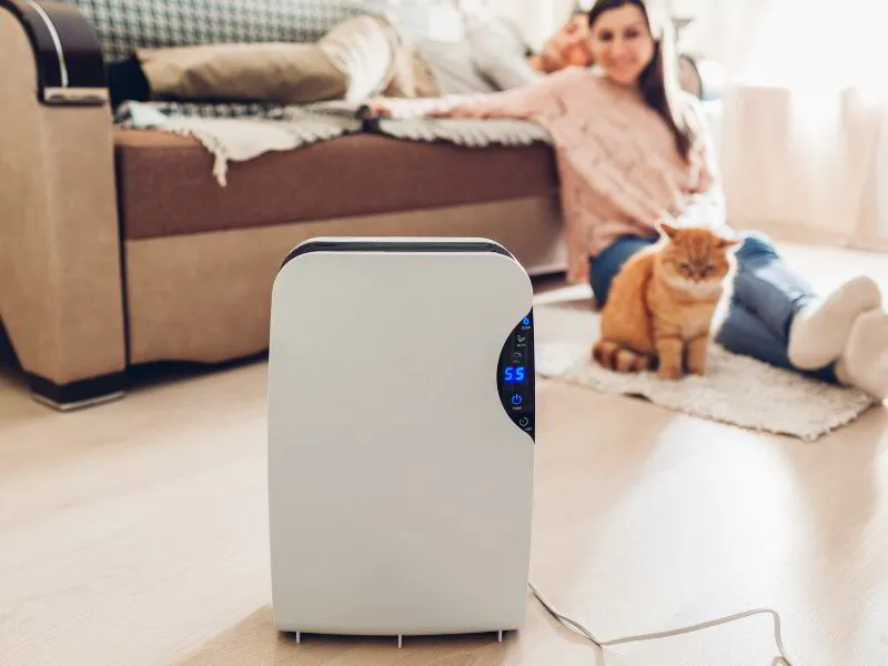 dehumidifier set to 55% in a living room