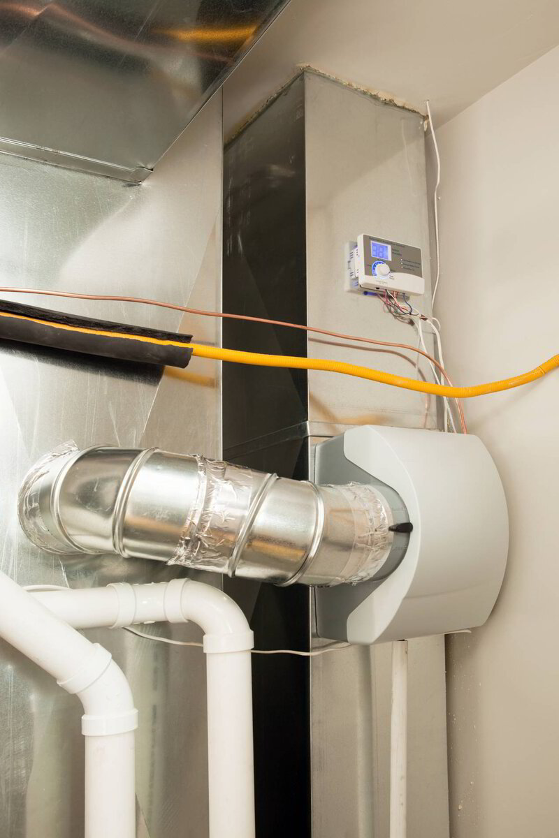 Does A Dehumidifier Help With Mold? Air & Energy of NWFL