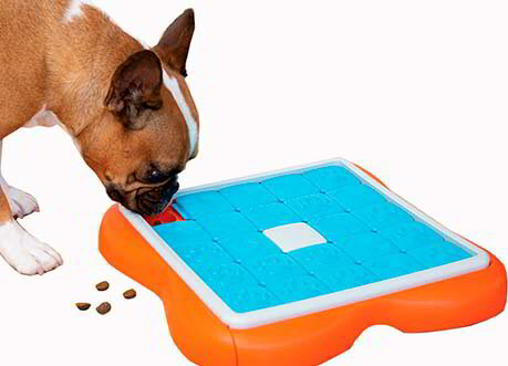 Juegos mentales para perros on sale