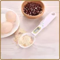 Culinary Pro Scale Spoon Free + Shipping ( $9.97 )