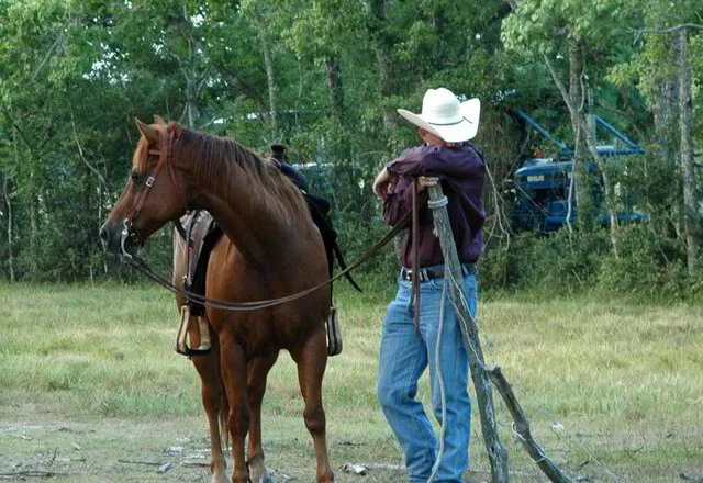 Texas Cattle Ranching