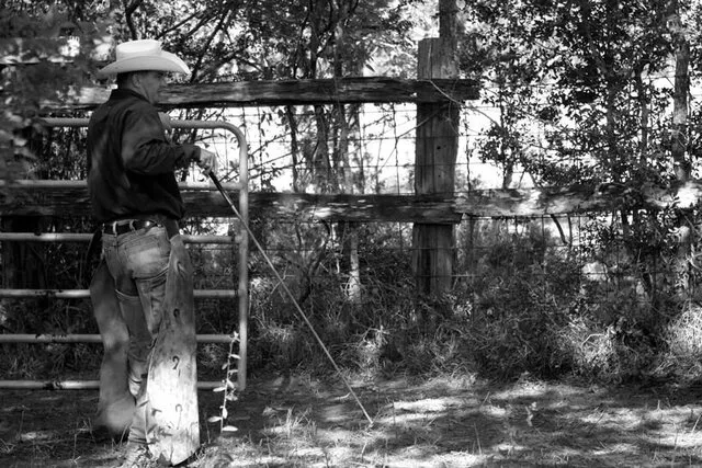 Texas Cattle Ranching
