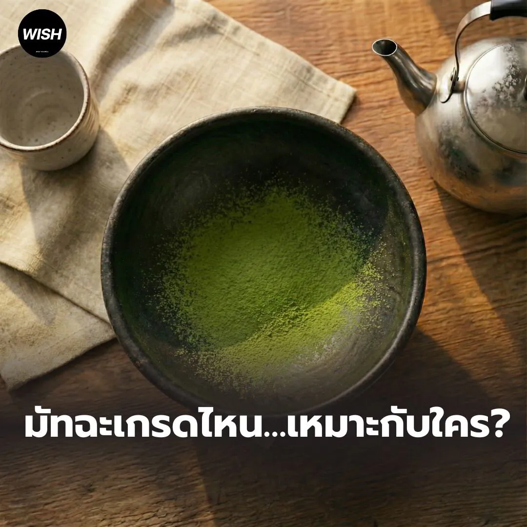 🍵 มัทฉะเกรดไหน…เหมาะกับใคร?