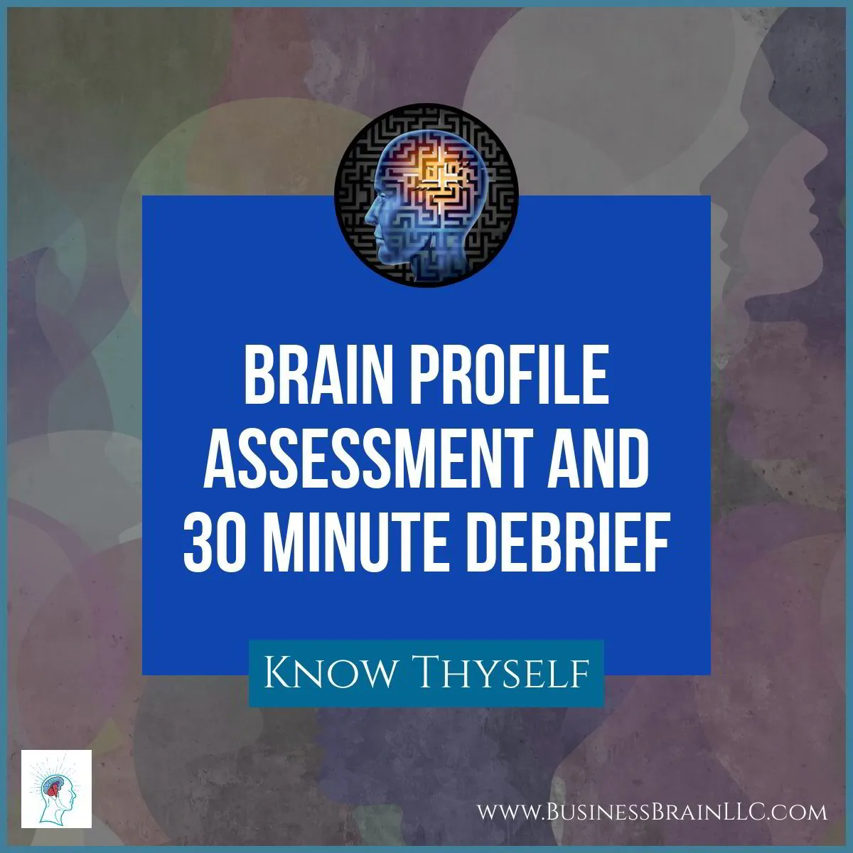 Brain Style Assessment with Video Coaching Debrief BASIC