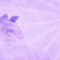 7 Rays of The Archangels Private 1:1 Attunement