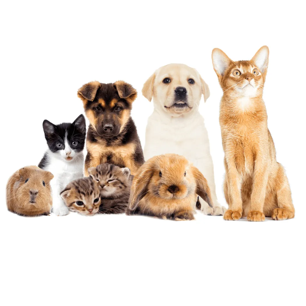 Animal Ark Best Selection of Pet Food and Toys in Port Alberni