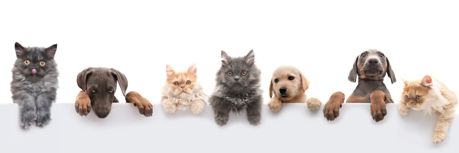 About Animal Ark Pet Store in Port Alberni A wide Variety of Pet