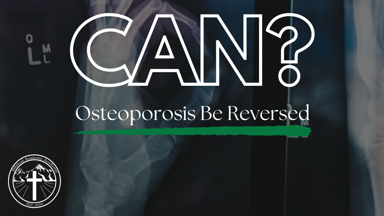 Can Osteoporosis Be Reversed?