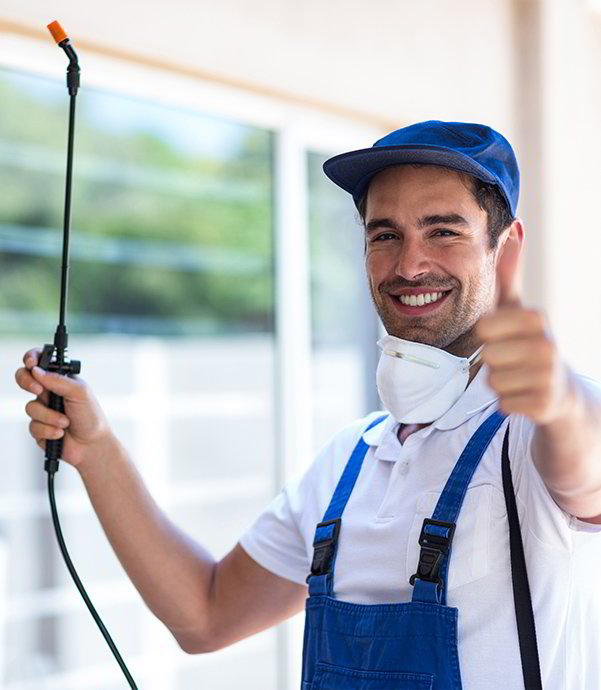 Why You Need to Hire a Pest Control Management Company Our Guide