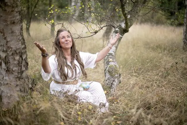 What is a Shamanic Practitioner ?
