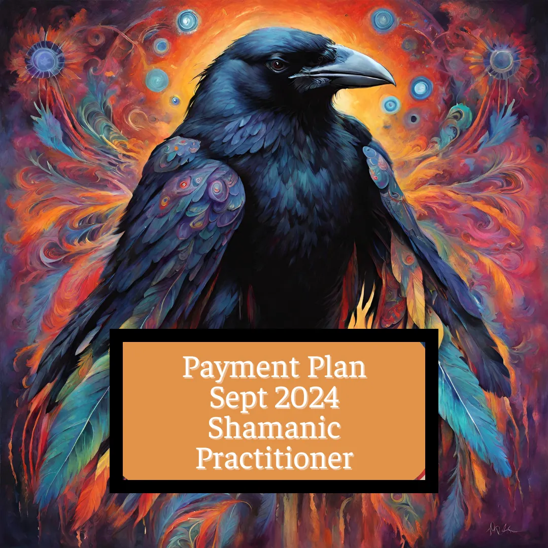 Shamanic Practitioner 18 payments of £207 Sept 2024