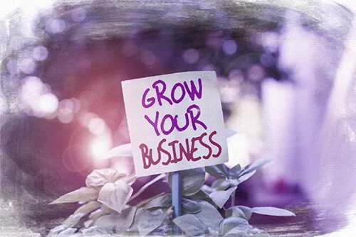 Grow your Business Programma