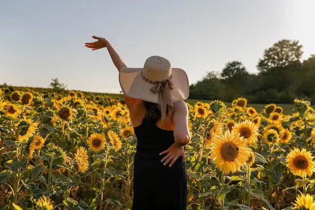 Kvinna med hatt i solrosfält