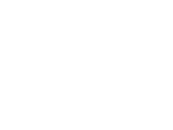 NY Presbyterian Lower Manhattan Hospital logo