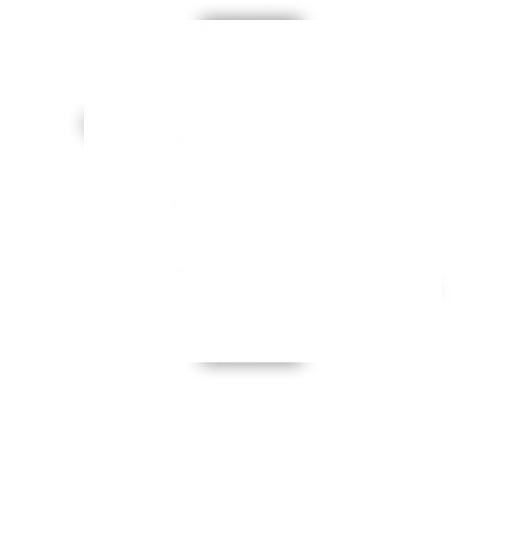 The Stitch Haven
