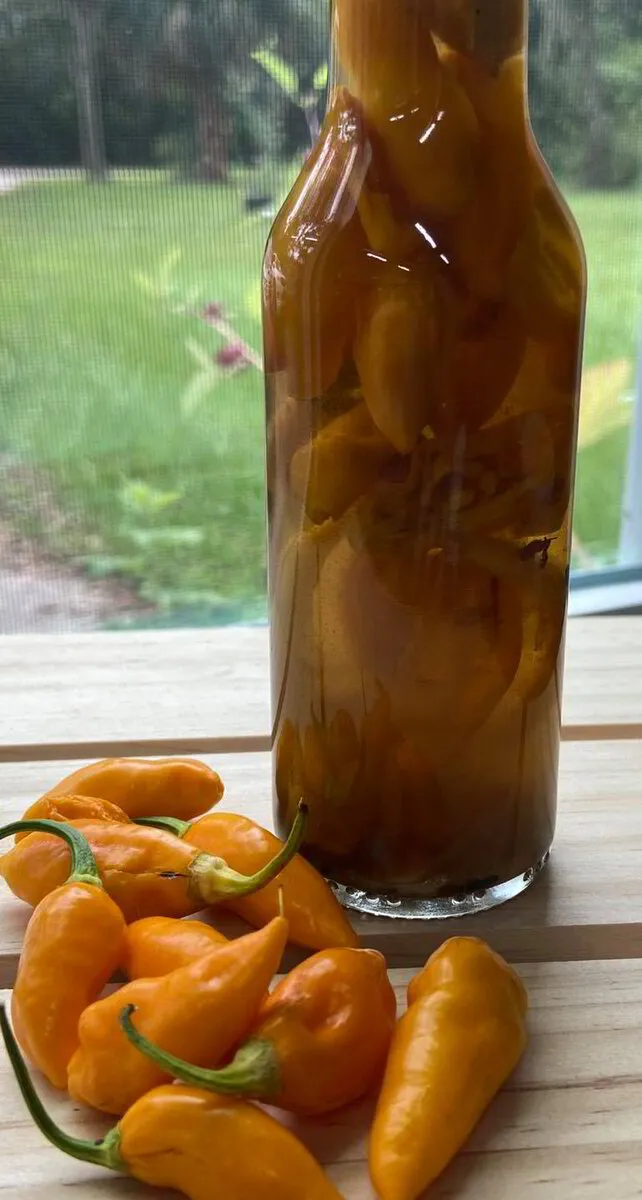 Heirloom & Organic Hot Pepper Vinegar