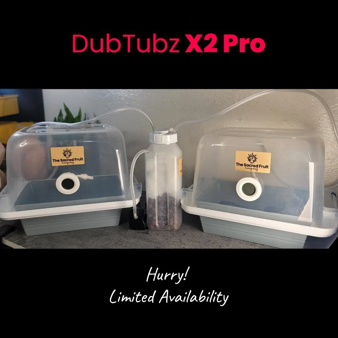 DubTubz X2 Pro