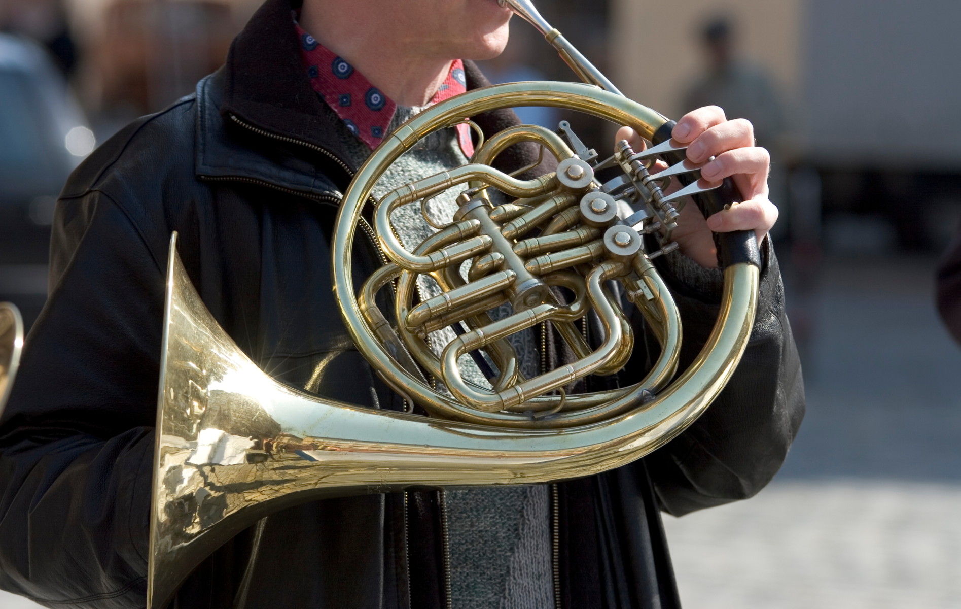 the art of french horn playing mutes