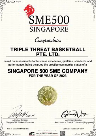 SME 500 Award Winner 2023 - Triple Threat Basketball Academy