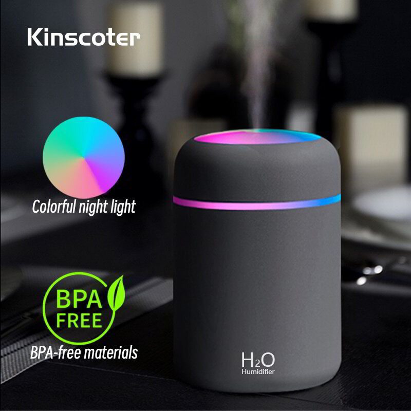 H2O Humidifier