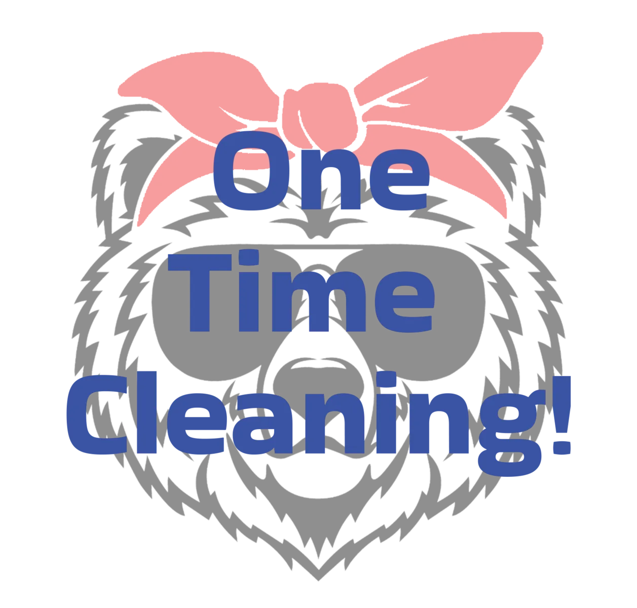 One Time Cleaning!