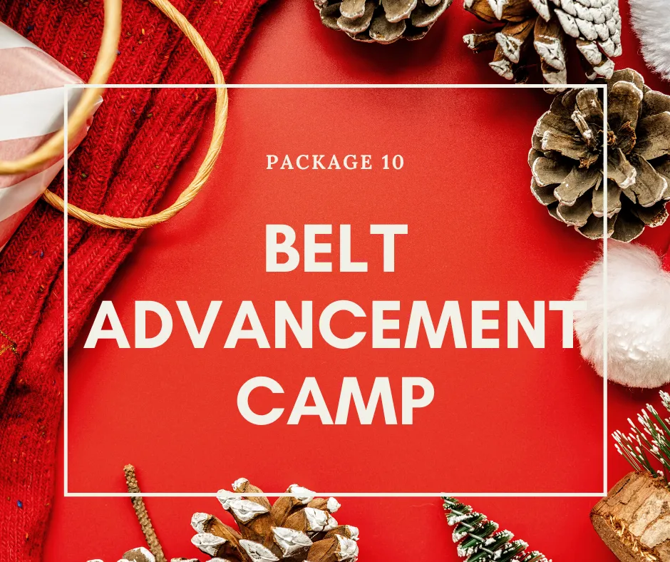 Package 10: Belt Advancement Camp