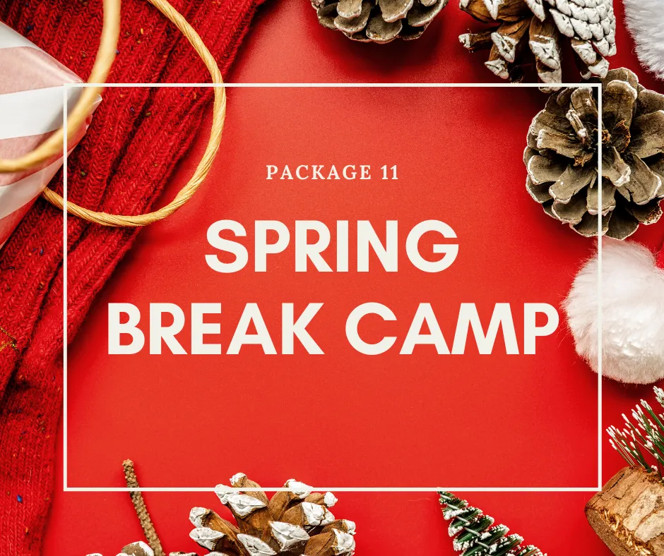 Package 11: Spring Break Camp