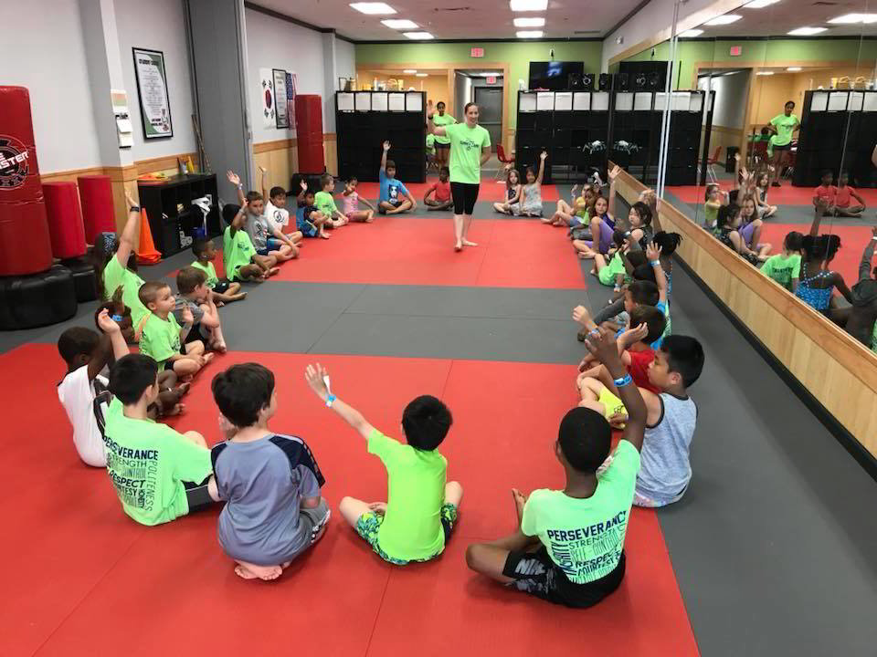 Open House Party at Life Champ Martial Arts of Lorton, Reston