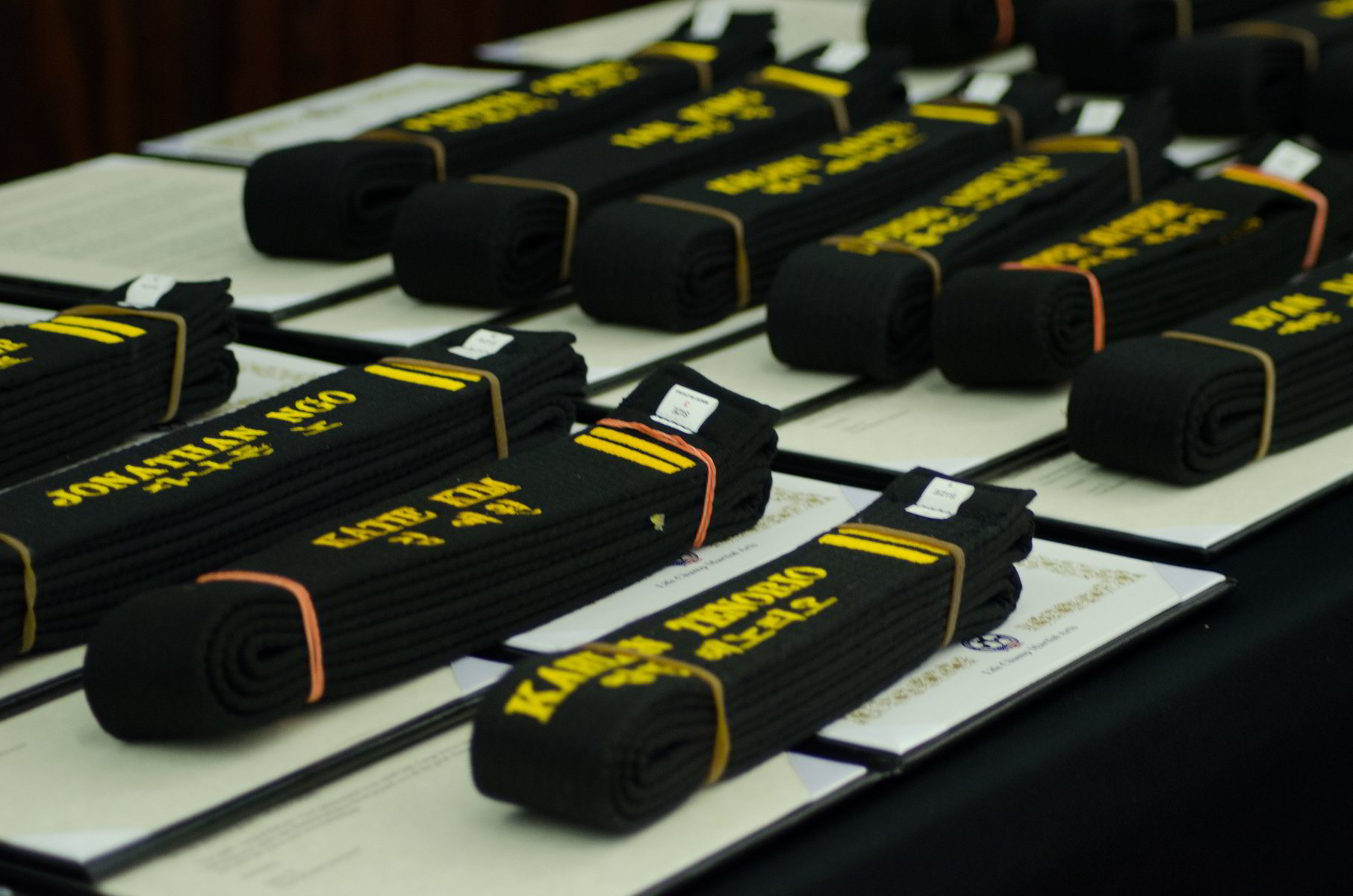 About us Life Champ Martial Arts