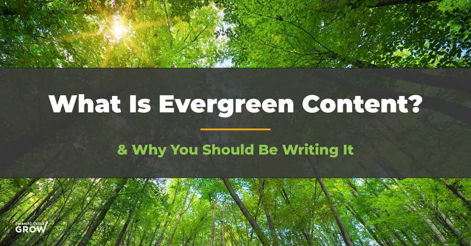 What Is Evergreen Content &amp; Why You Should Be Writing It